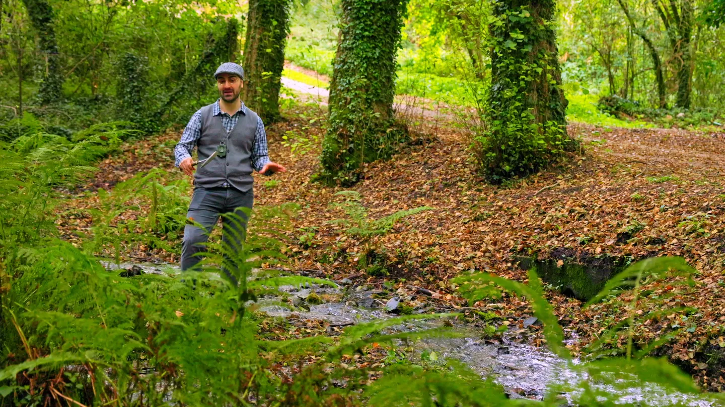 Tra il bosco e le sorgenti